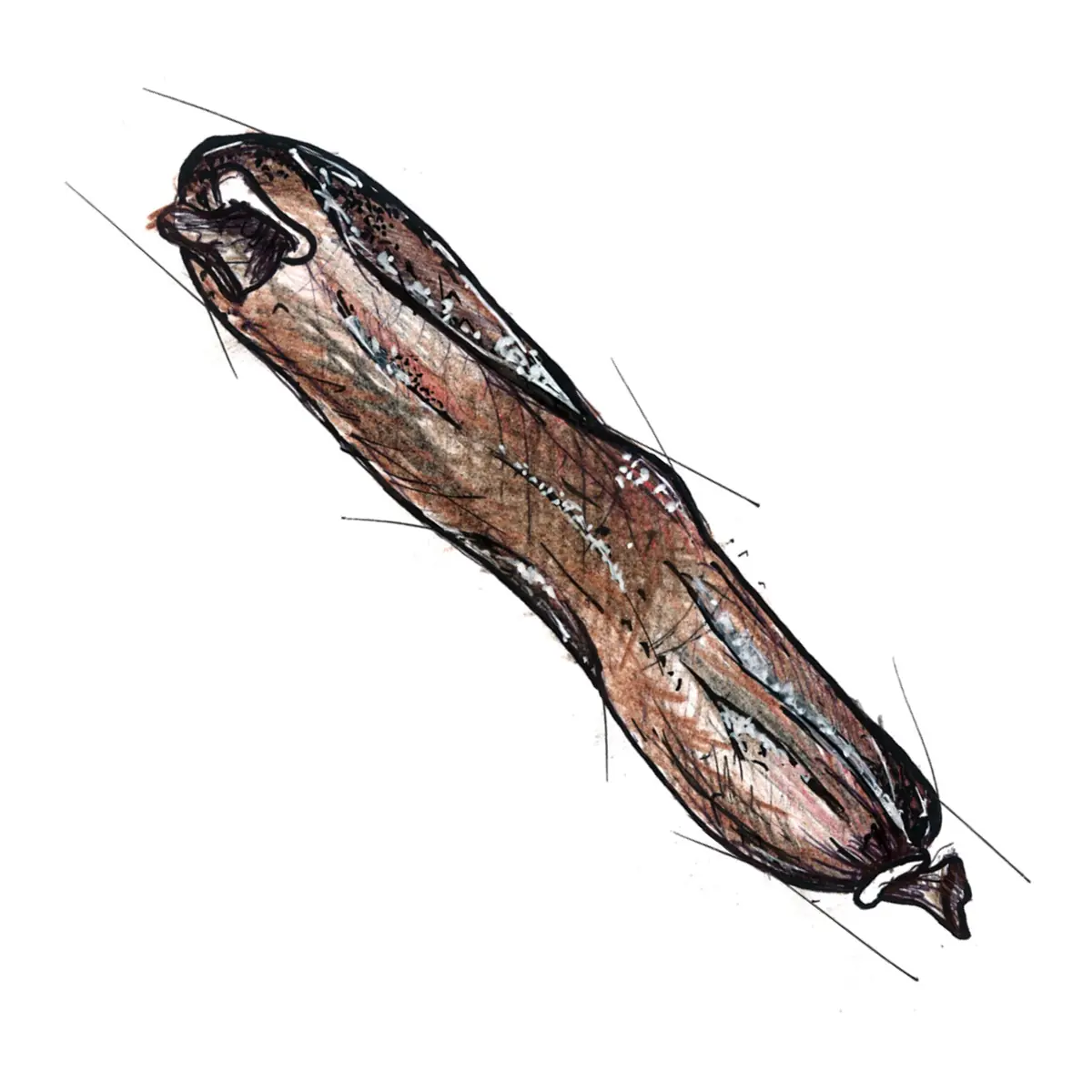 tick naturewurst