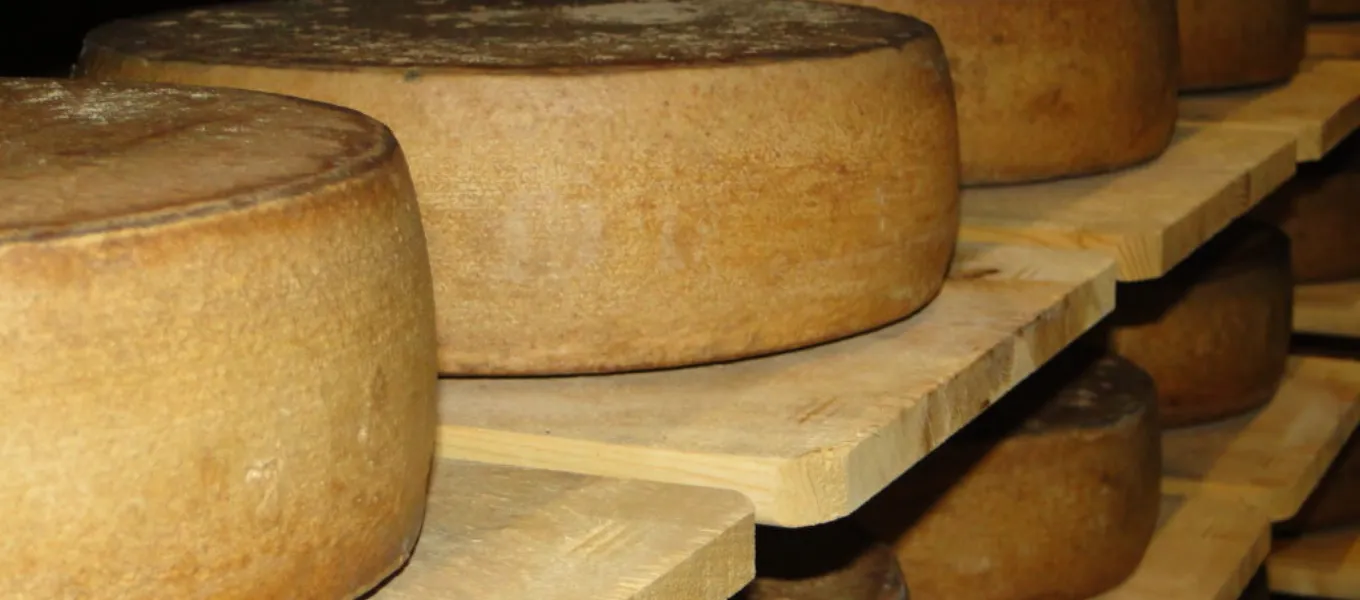 holzbretter