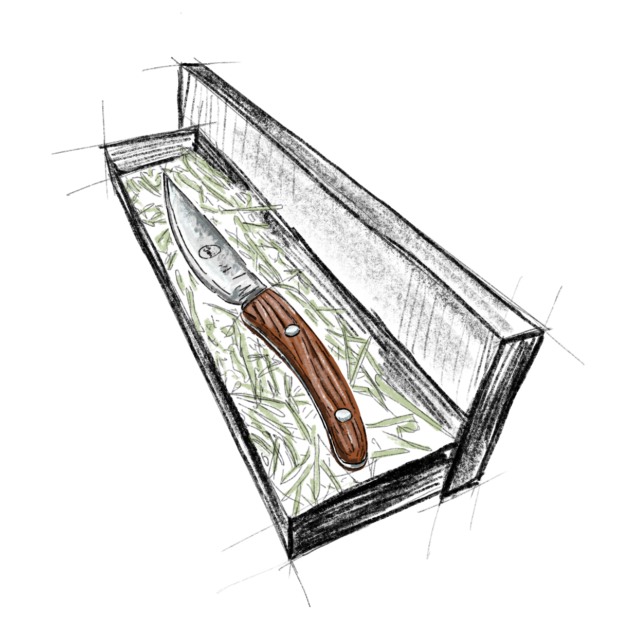 Fleischmesser mit Holzgriff