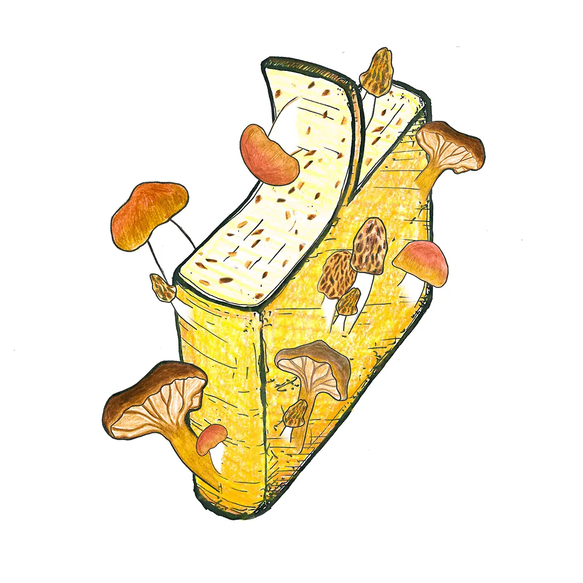 scheibe morchel-steinpilz raclette à 80g