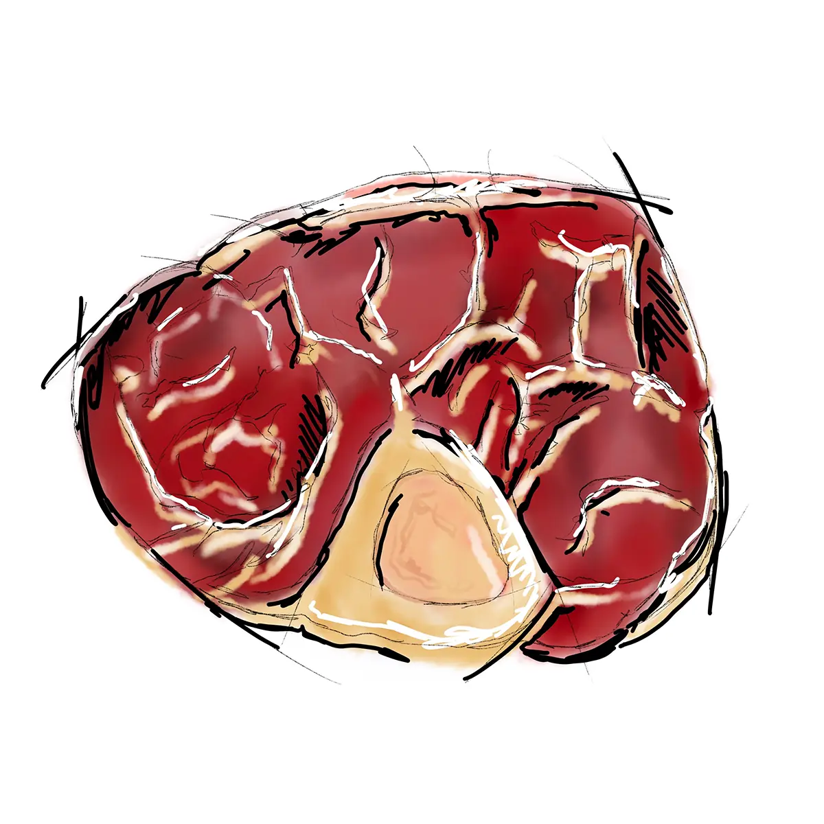 ossobuco à 270g
