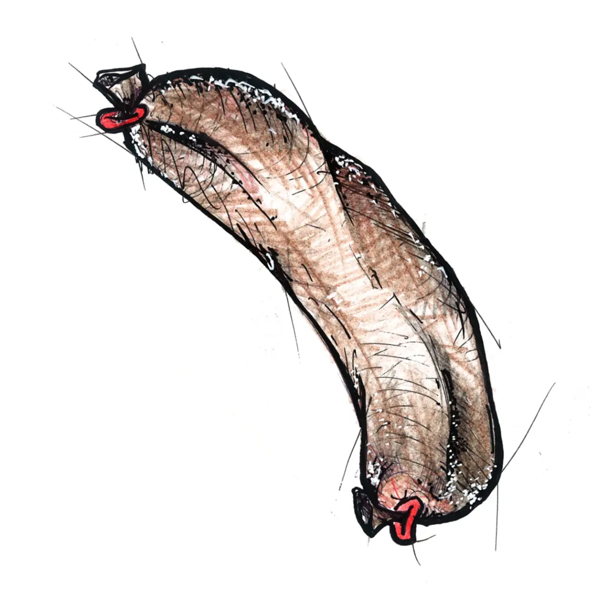 trick chilliwurst